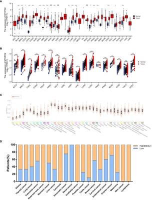 Identification of MTHFD2 as a prognostic biomarker and ferroptosis regulator in triple-negative breast cancer